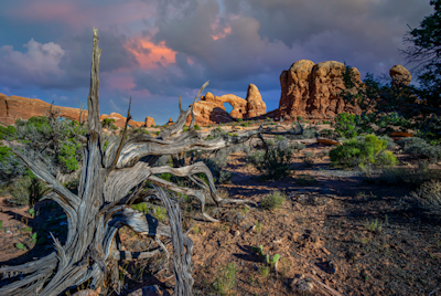 Arches National Park